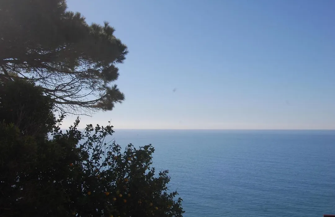 Corniglia Dreams-1